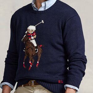 NWT Polo Bear & Big Pony Sweater Size L